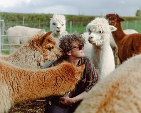 Bill Ryder-Jones announces new album lechyd Da with This Can't Go on
