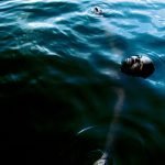 Eddington Again announce debut album Naomi9