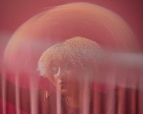 L'Rain releases new album I Killed Your Dog