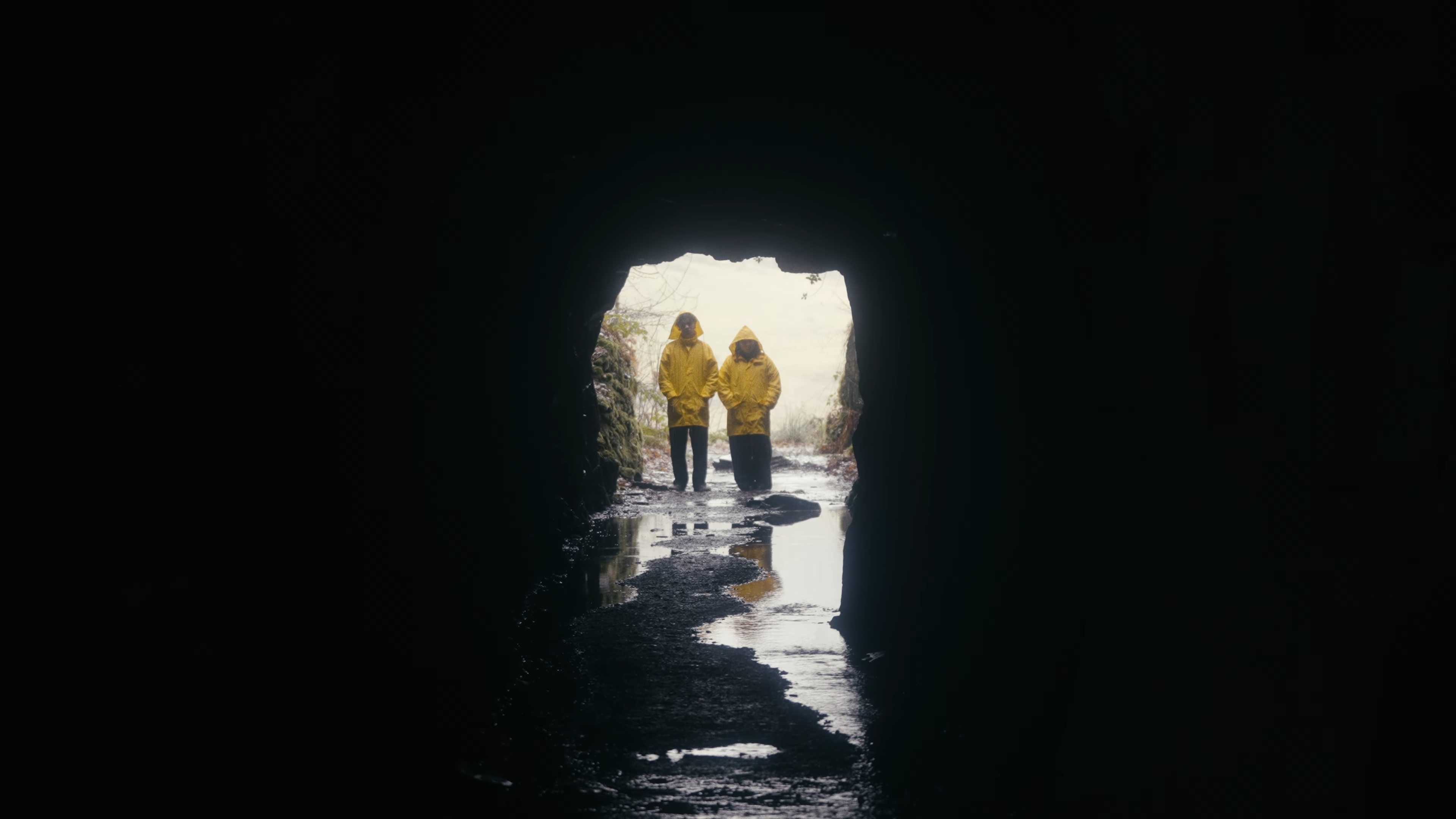 video still from Fibbs by No Windows