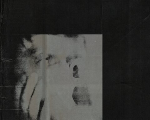 Ditz - Never Exhale cover art