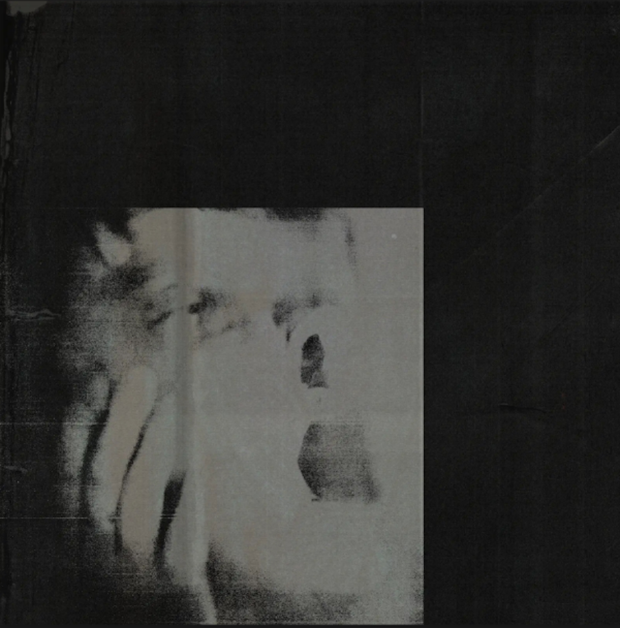 Ditz - Never Exhale cover art