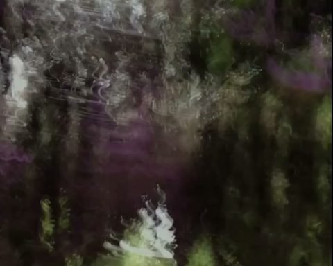 video still from Danish experimental rock band Poptones