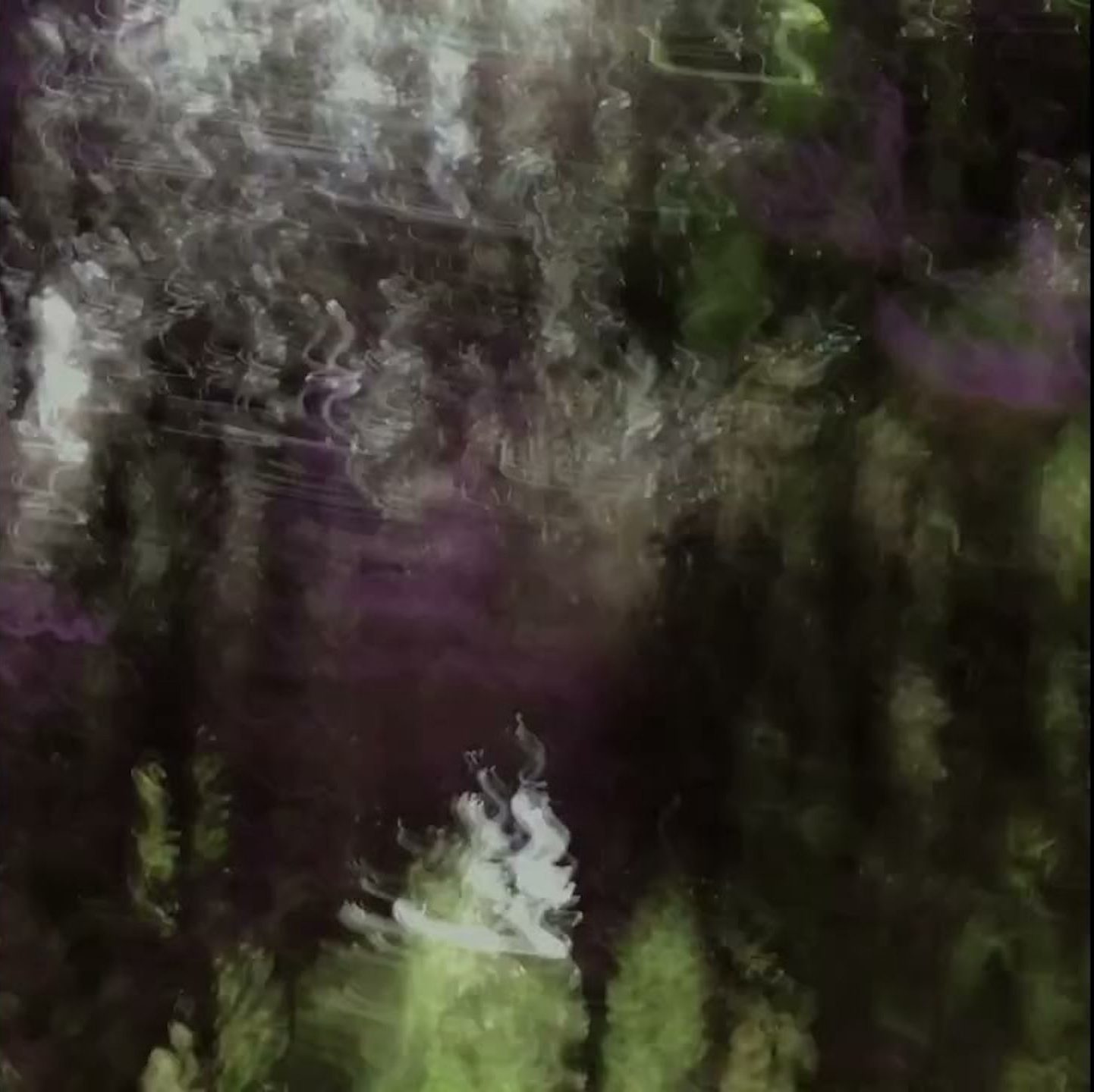 video still from Danish experimental rock band Poptones